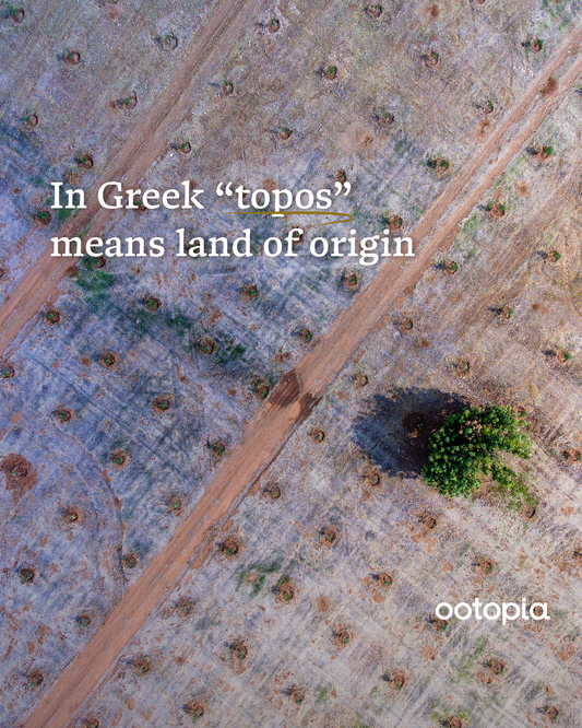 Ootopia’s Origin