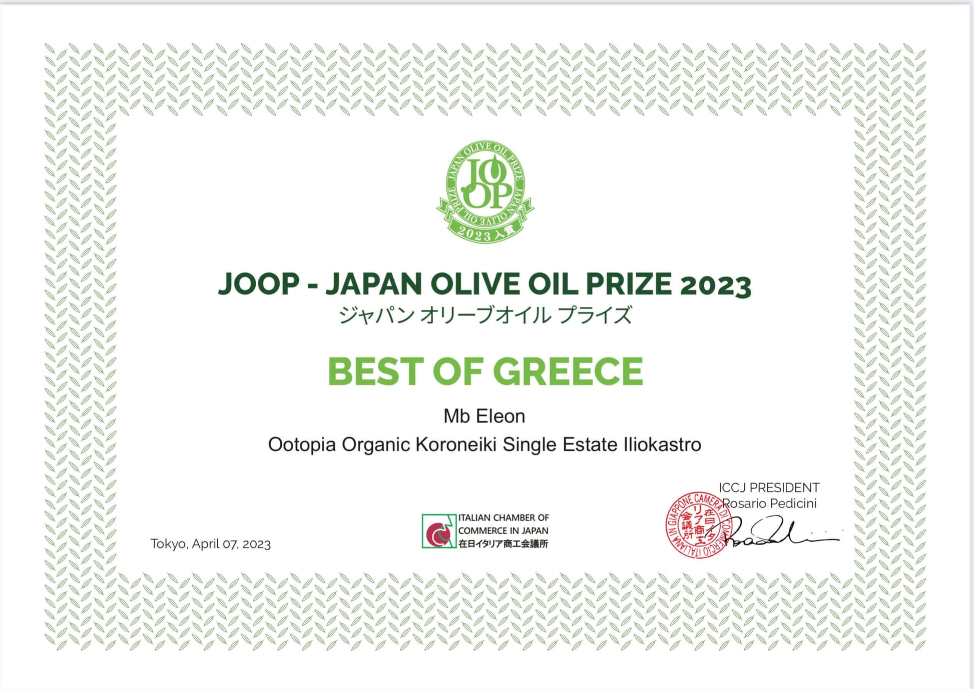Organic Olive Oil | Olive Oil from Greece | Ootopia USA