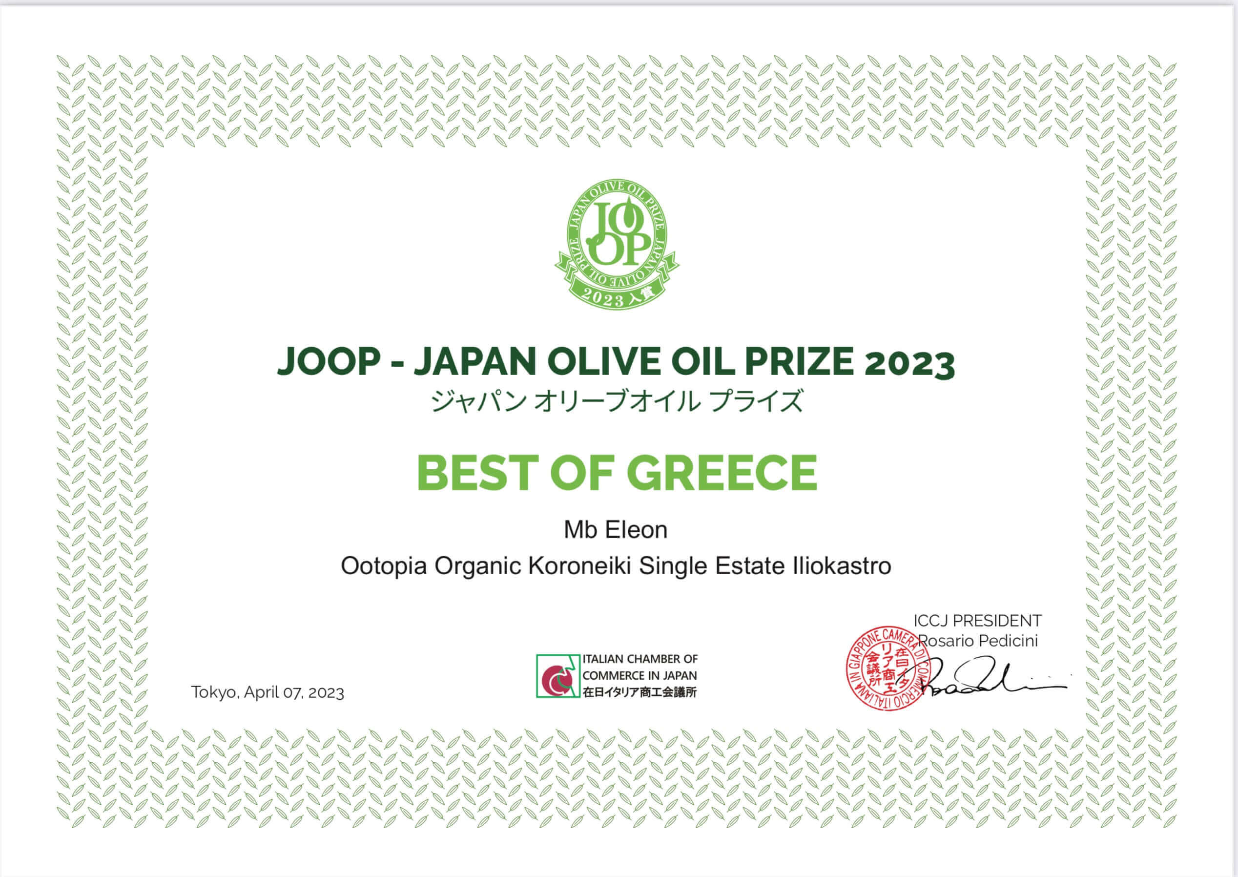 Organic Olive Oil | Olive Oil from Greece | Ootopia USA