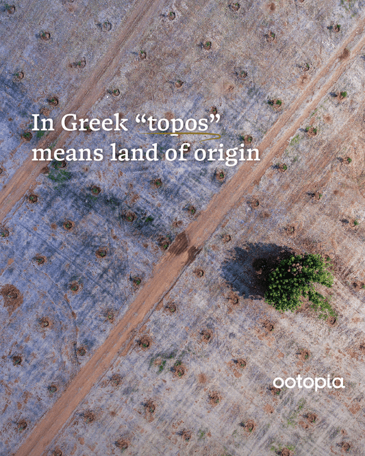 Ootopia’s Origin