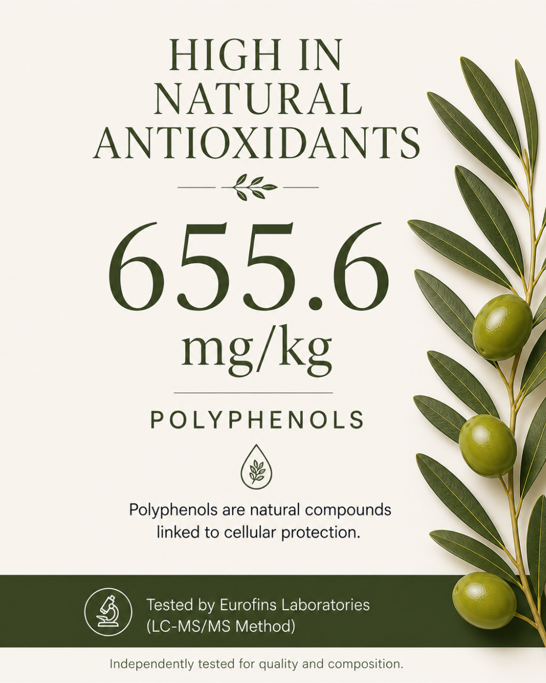 Early Harvest Greek Extra Virgin Olive Oil - Koroneiki & Manaki Blend - Ootopia